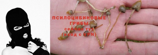 хмурый Армянск