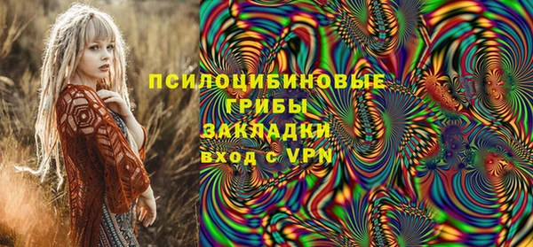 хмурый Армянск