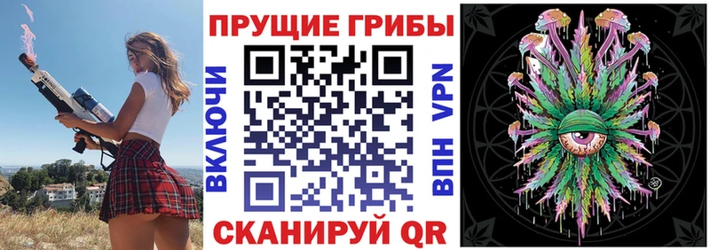 Псилоцибиновые грибы прущие грибы  Тимашёвск 